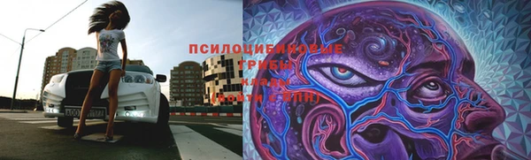 дурь Алексеевка