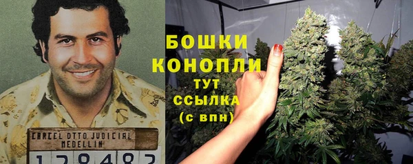 дмт Абаза