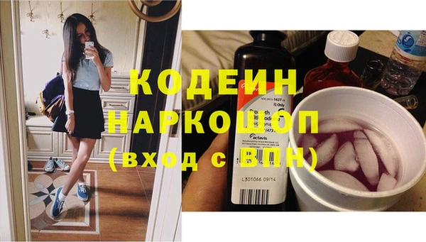 дмт Абаза