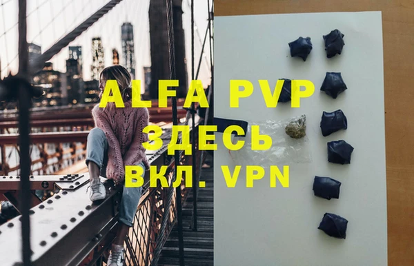 дмт Абаза