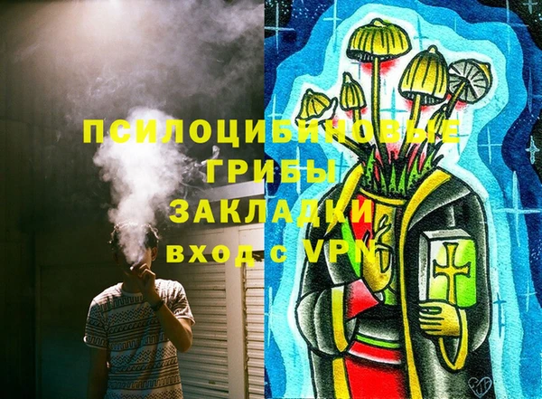 соль курить ск Алзамай